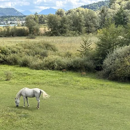 Sonnhugel - Stissen