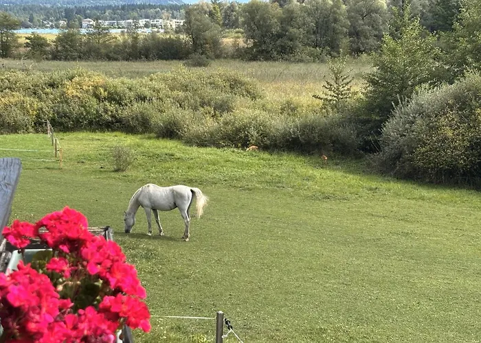 Ferienhaus Sonnhuegel - Stissen Apartman Faak am See