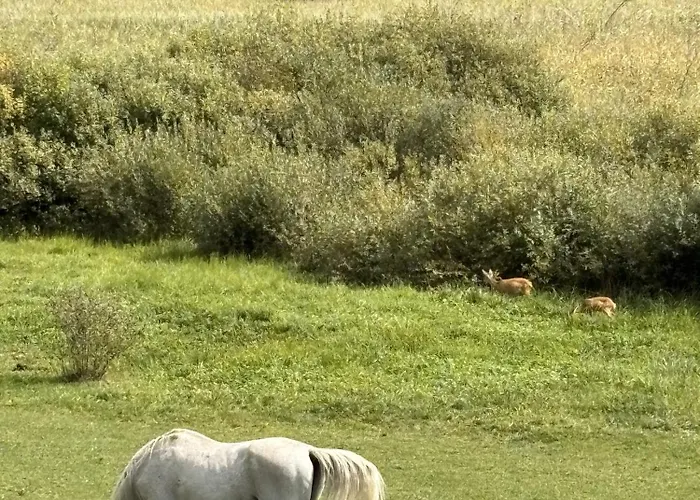Sonnhugel - Stissen Faak am See