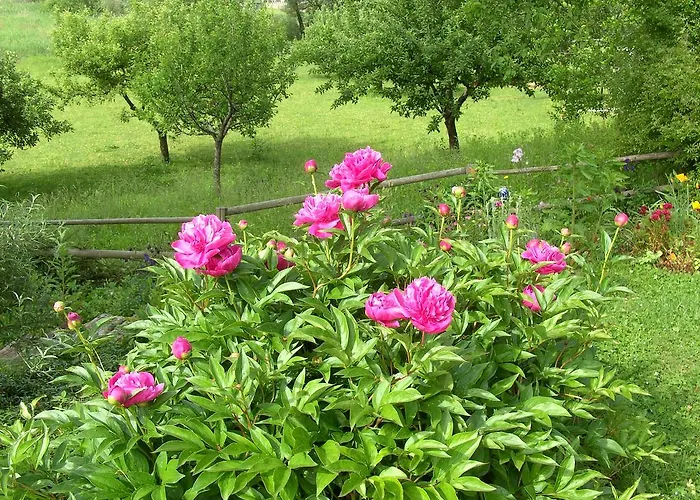 Ferienhaus Sonnhuegel - Stissen 公寓 *